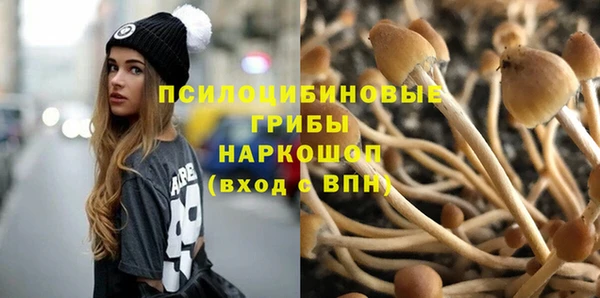 гидропоника Белокуриха